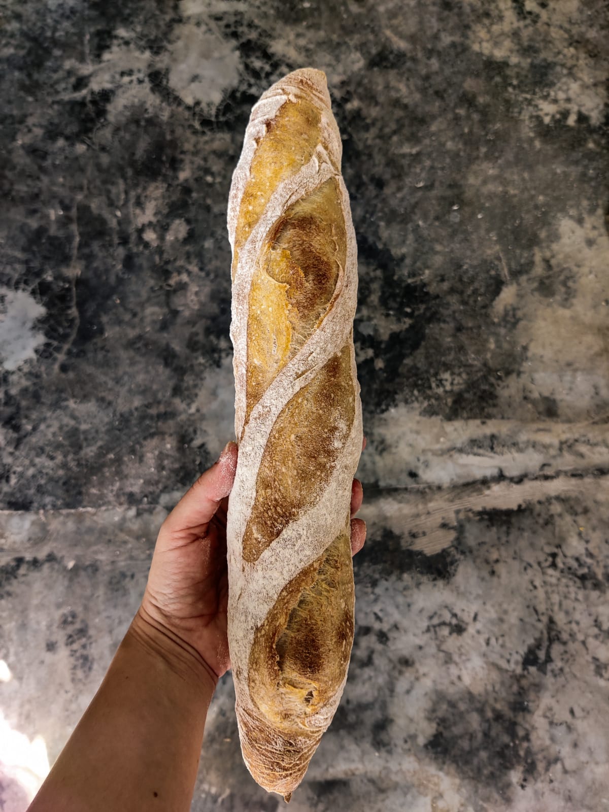 Baguette de tradición