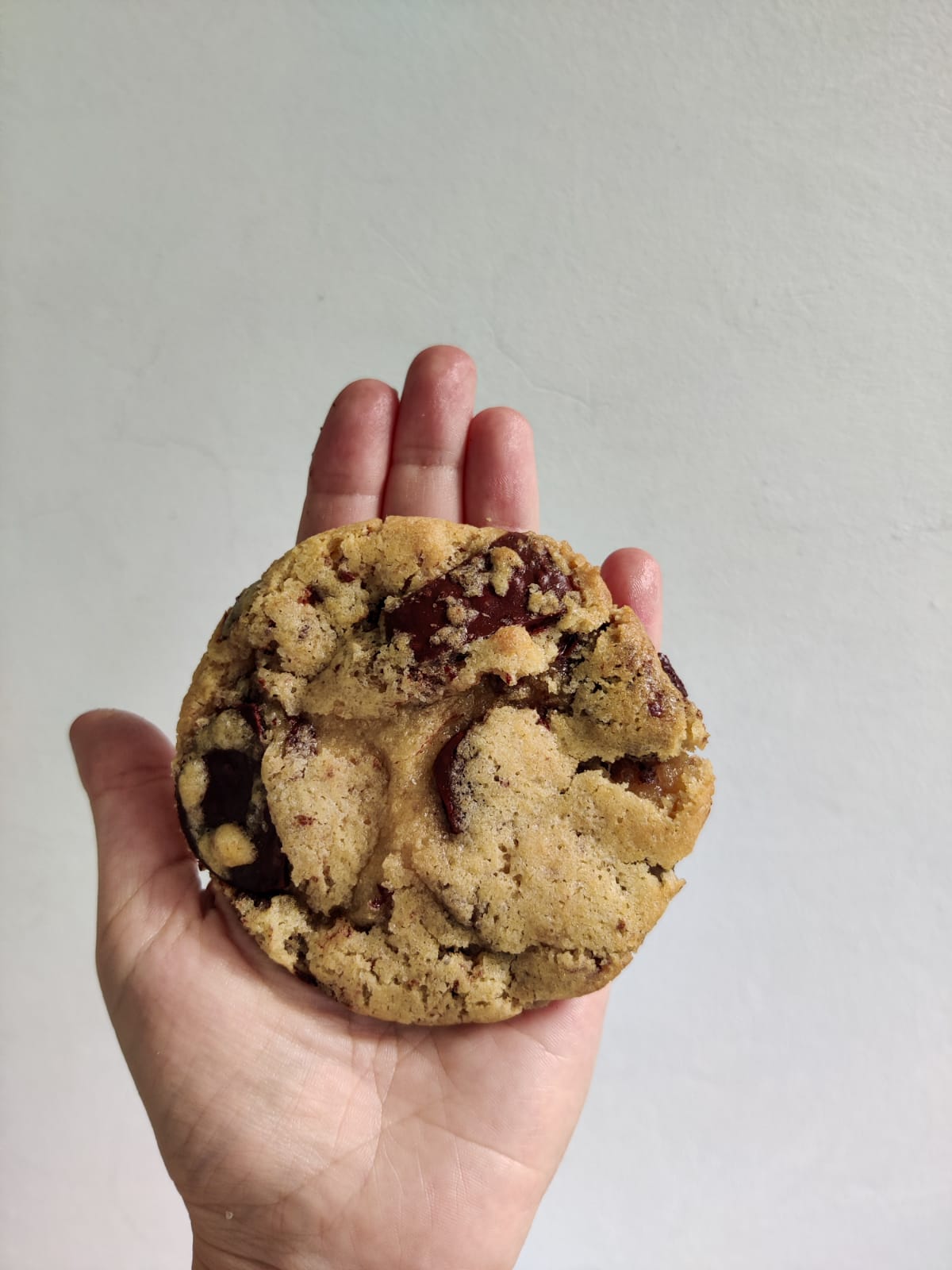 Galleta de chips de chocolate