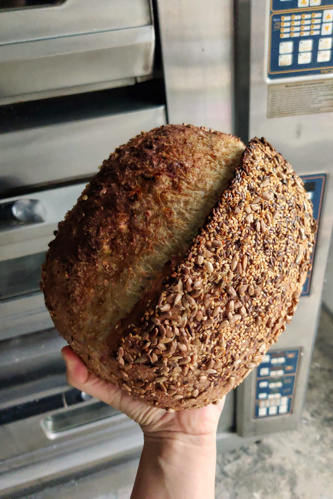 Sourdough Multicereal