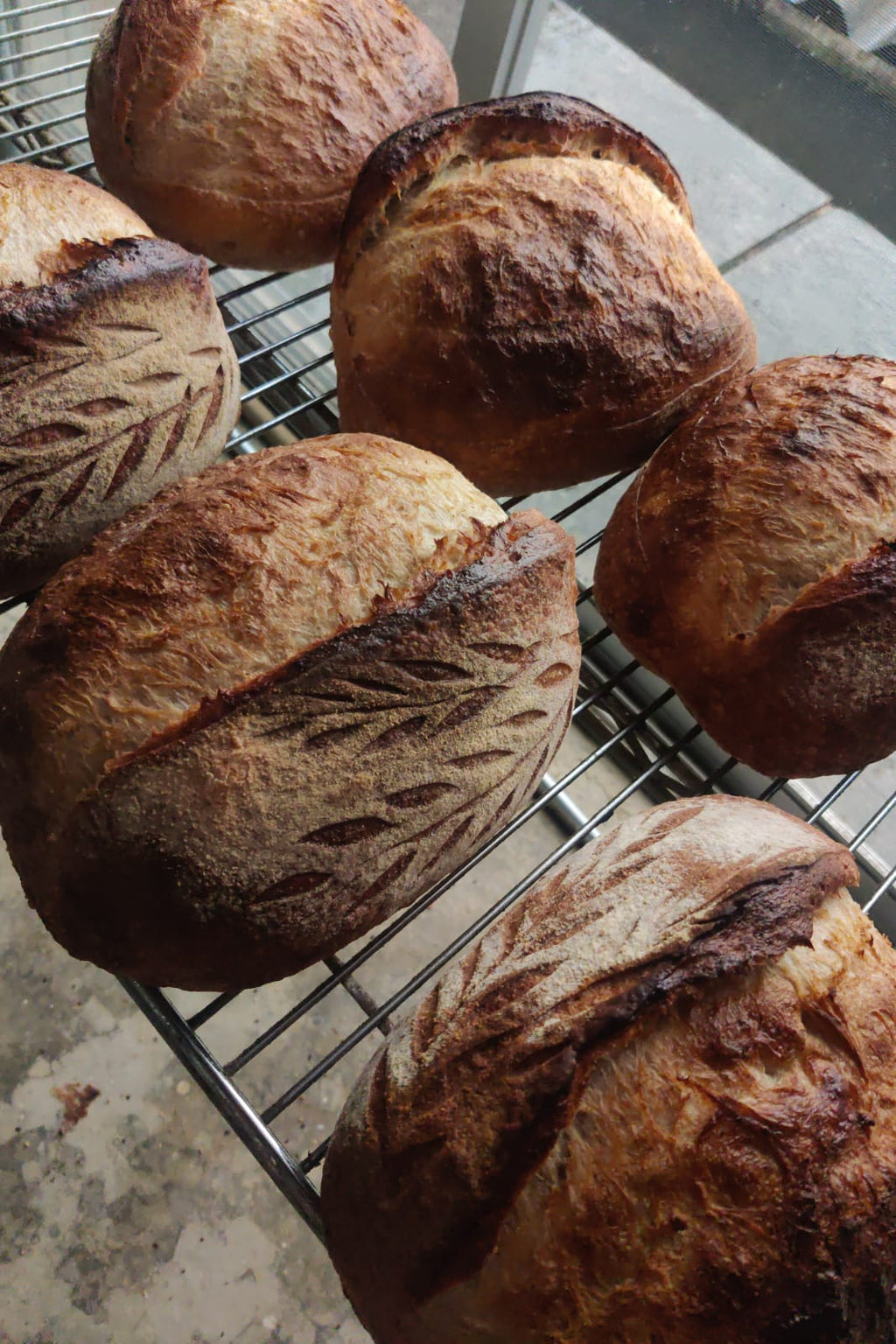 Sourdough tradicional