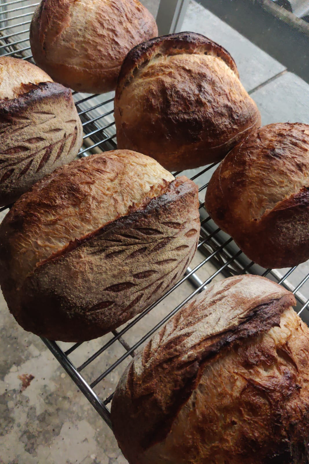 Sourdough tradicional