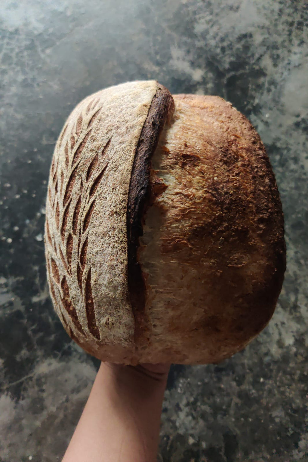 Sourdough tradicional