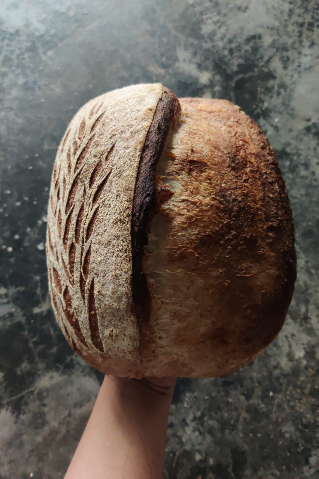 Sourdough tradicional