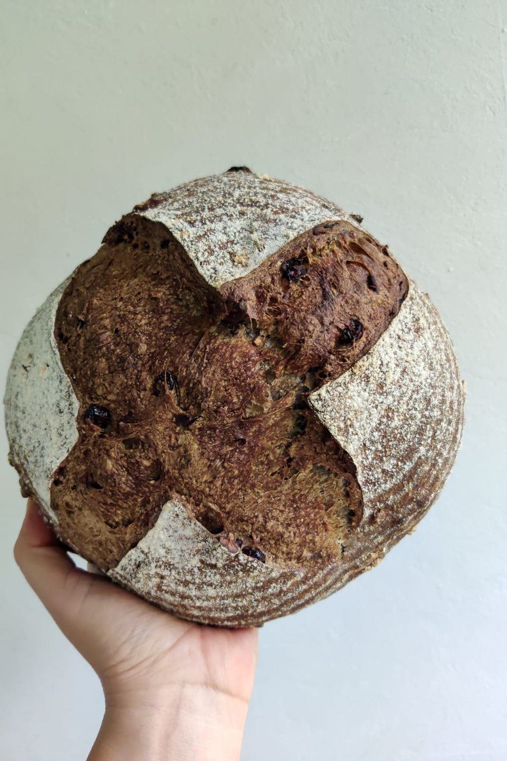 Sourdough de arándanos & Nueces pecanas