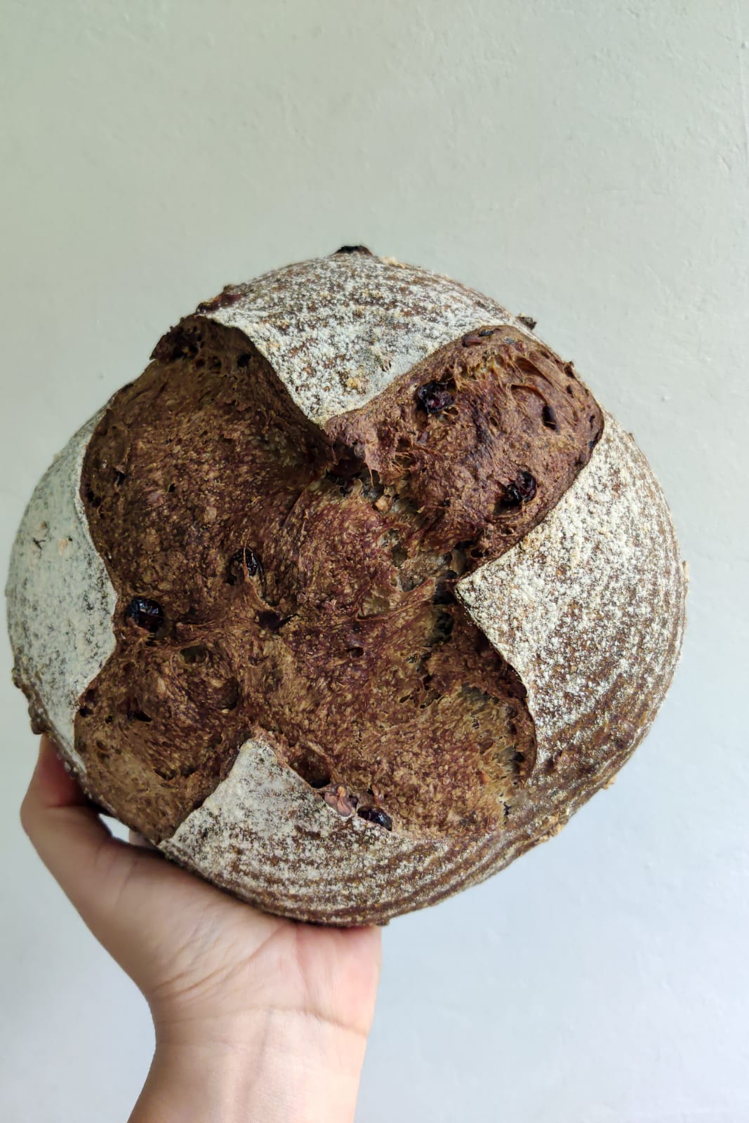 Sourdough de arándanos & Nueces pecanas